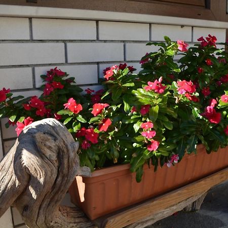 Apartma Zala Most na Soči Exteriör bild