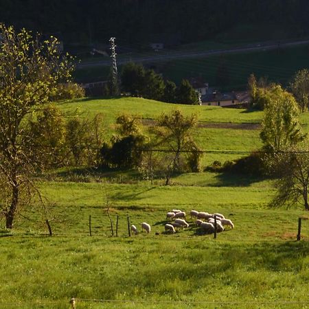 Apartma Zala Most na Soči Exteriör bild