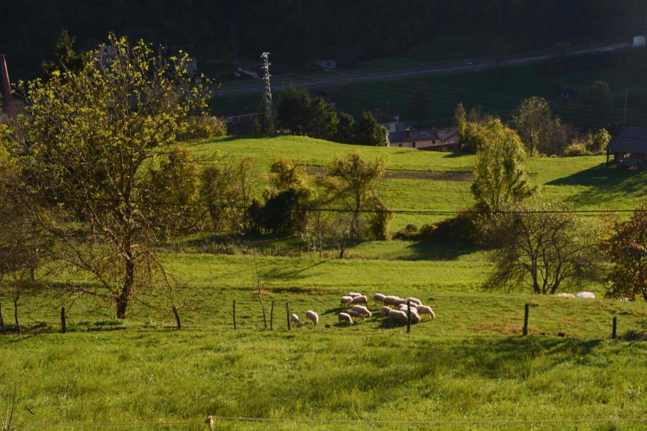 Apartma Zala Most na Soči Exteriör bild