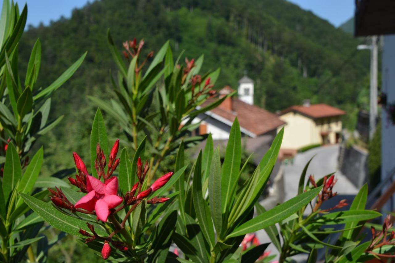 Apartma Zala Most na Soči Exteriör bild